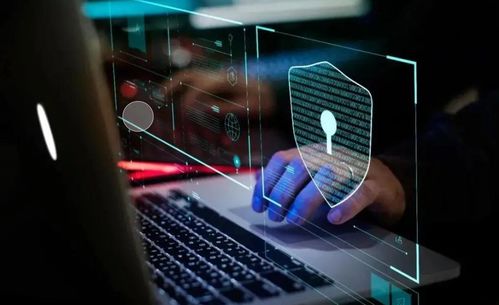 軟件安全 漏洞利用與滲透測(cè)試全流程剖析